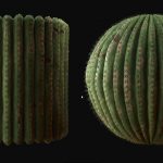 かなりマニアック！！サボテンのシェーダーを作るチュートリアル！！